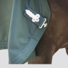 PADDOCK Chemise de présentation - Chemise ecurie - Foolfashion.ch