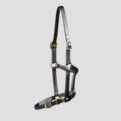 HFI Leather Foal Halter - HFI - Foolfashion.ch