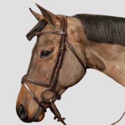 HFI - Bridle Pro Line Milano Gold Buckle - HFI - Foolfashion.ch