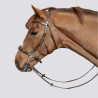 HFI Trense Hackamore