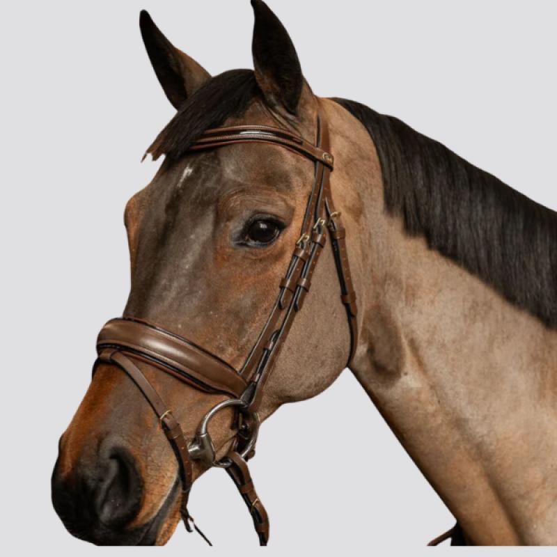 HFI EDGES Pull-Back Bridle - HFI - Foolfashion.ch