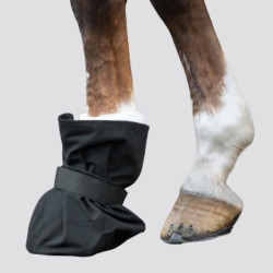 WALDHAUSEN Pflasterschutz für Clogs - WALDHAUSEN - Foolfashion.ch