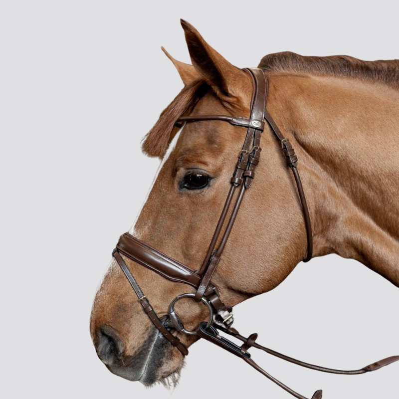 HFI Bridle Round