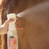 RAVENE Easy Shine Intense