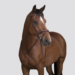 NORTON PRO Gummizügel breit - NORTON - Foolfashion.ch