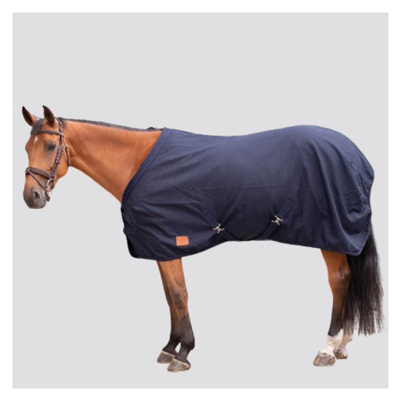 PADDOCK SPORT Chemise d'écurie