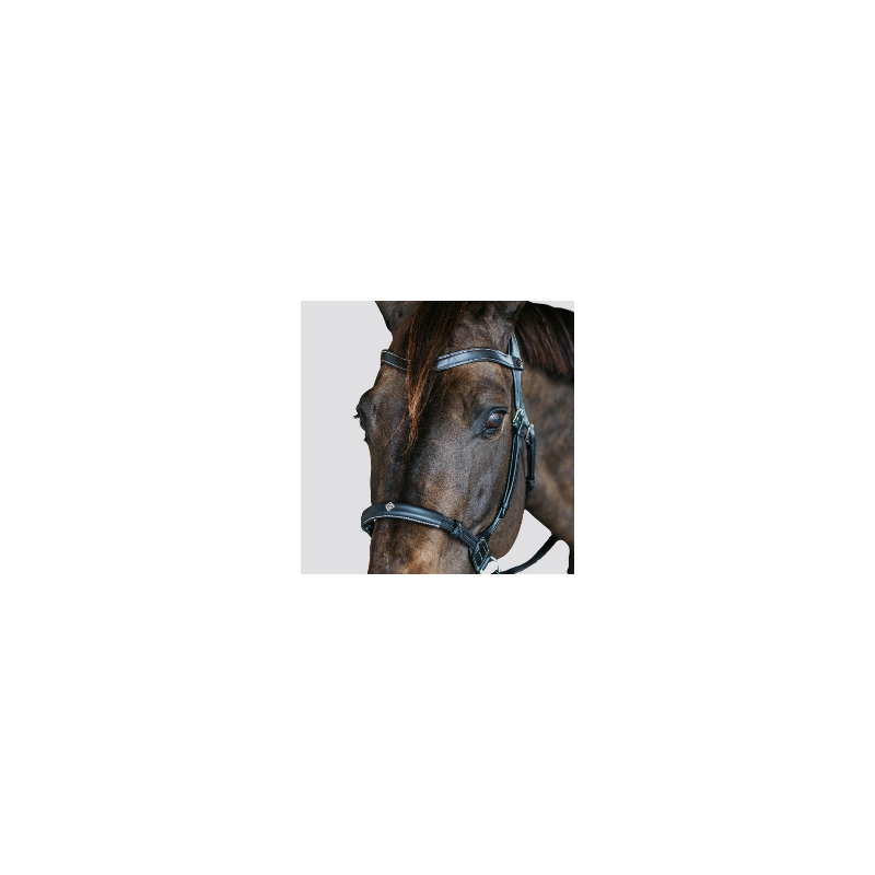 DY'ON Working Bitless Bridle