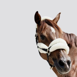 KENTUCKY Halfter Nylon Schaf Soft - KENTUCKY - Foolfashion.ch