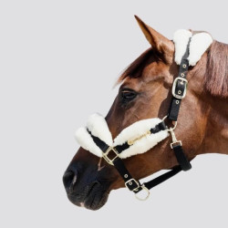 KENTUCKY Halfter Nylon Schaf Soft - KENTUCKY - Foolfashion.ch