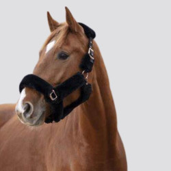 EQUITHÈME Halfter Teddy rosa gold - EQUITHEME - Foolfashion.ch