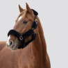 EQUITHÈME Halfter Teddy rosa gold - EQUITHEME - Foolfashion.ch