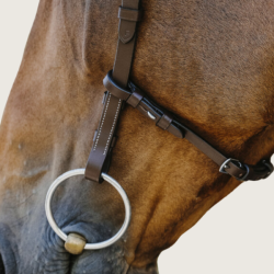 EQUITHEME Bridle Norton Freedom - EQUITHEME - Foolfashion.ch