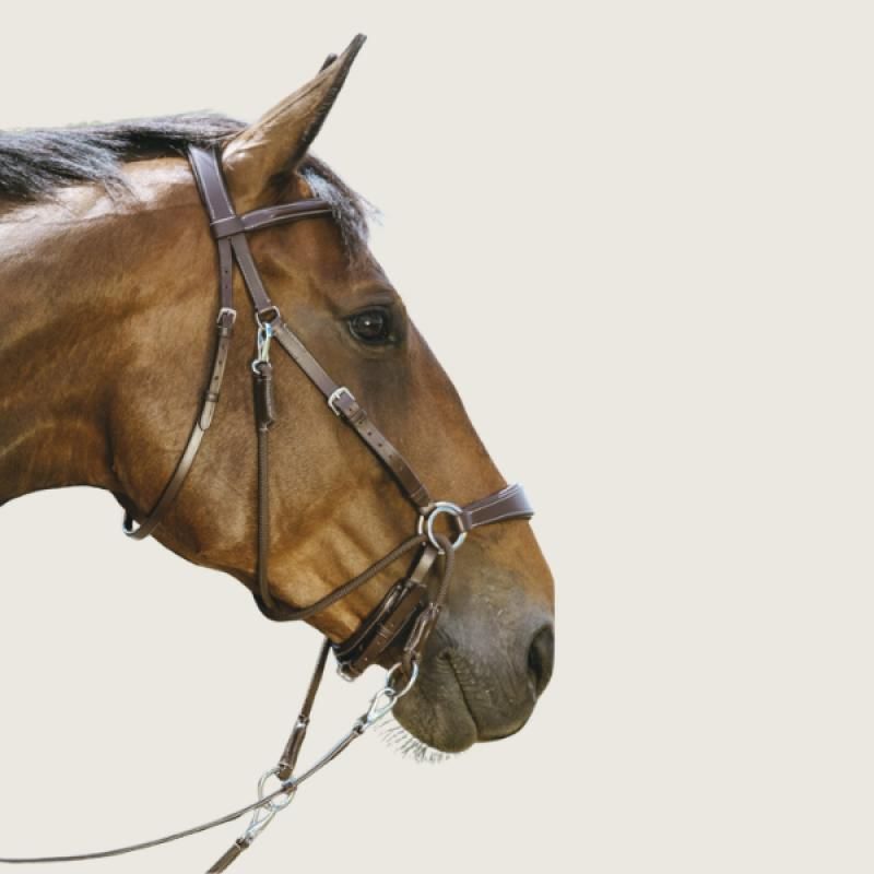 NORTON Bridle Bitless - NORTON - Foolfashion.ch