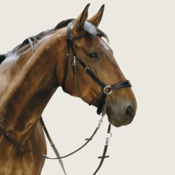 NORTON Trense Bitless - NORTON - Foolfashion.ch