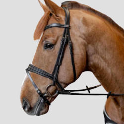 HFI Bridle Padded Hoofdstel - Foolfashion.ch
