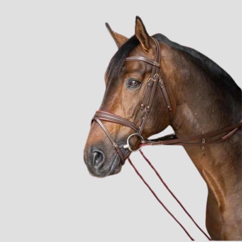 HFI Rene Allemandes Leather & Rope - Foolfashion.ch