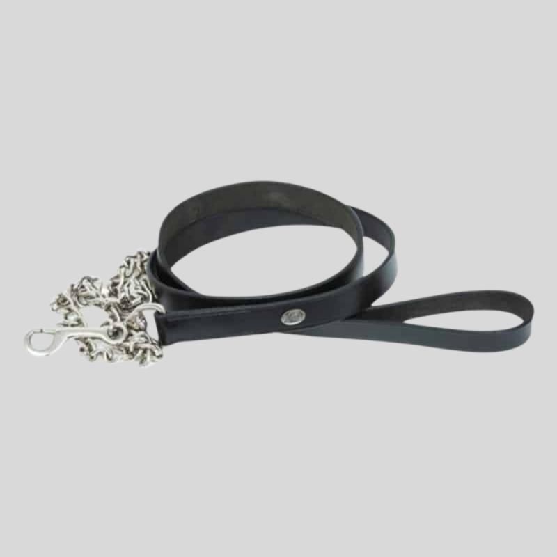 HFI Presentation Lanyard - HFI - Foolfashion.ch