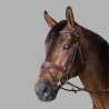 HFI Bridle Padded Hoofdstel - Foolfashion.ch