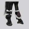 EQUITHEME Fetlock Protector BOA - Foolfashion.ch