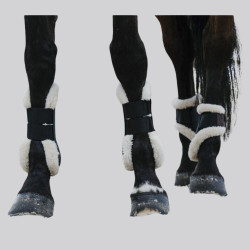 EQUITHEME Fetlock Protector BOA - Foolfashion.ch