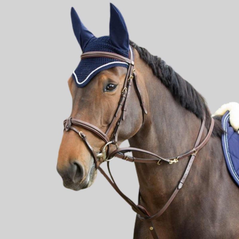 HFI Thiedeman Training Aid + Zügel