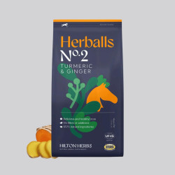 Herballs Nr. 2 Kurkuma & Ingwer Hilton Herbs 2kg - Foolfashion.ch