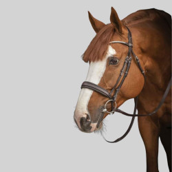 Bridle Pénélope Daily Strass at Foolfashion.ch
