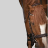 Bridle Pénélope Daily Strass at Foolfashion.ch