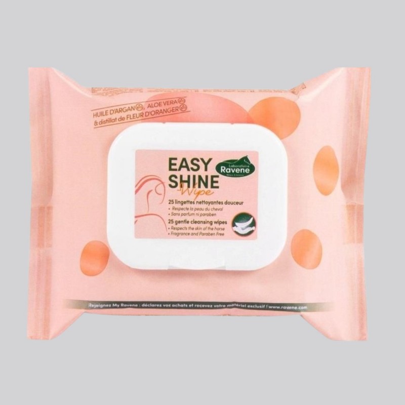 RAVENE Easy Shine Wipe