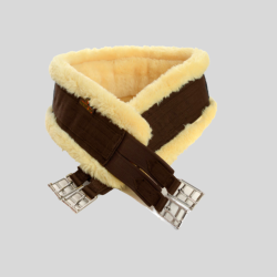 KENTUCKY Sheep girth