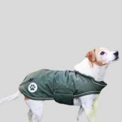 KENTUCKY Wasserdichter Hundemantel Olive 300gr