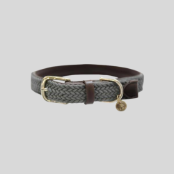 KENTUCKY Collier chien Nylon Tressé