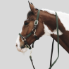 KENTUCKY Braided Nylon Dog and Horse Lanyard