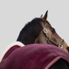 KENTUCKY Couverture Fleece Rug Show « Heavy »