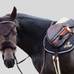KENTUCKY Protection Mouton Noseband
