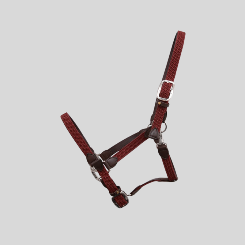 KENTUCKY Braided Nylon Halter Bordeaux