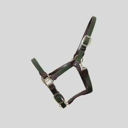 KENTUCKY Licol Nylon Tressé Vert
