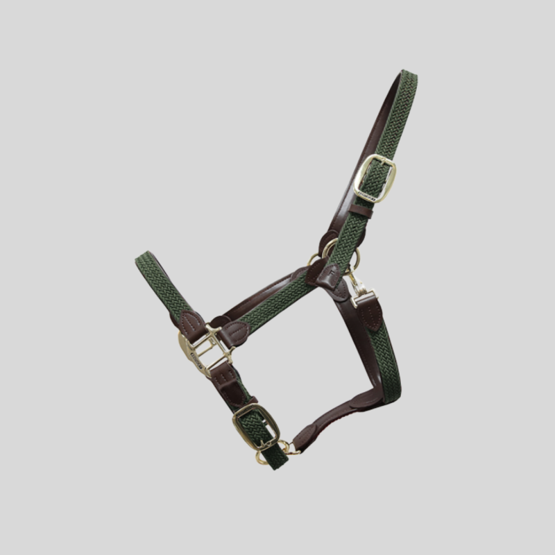 KENTUCKY Nylon Braided Halter Green
