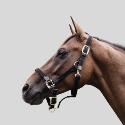 KENTUCKY Halfter Nylon Geflochten