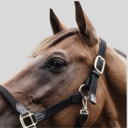 KENTUCKY Halfter Nylon Geflochten