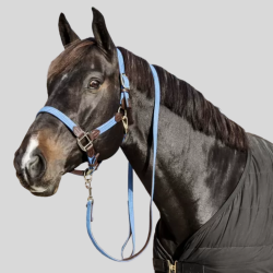 KENTUCKY Nylon Braided Halter