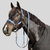 KENTUCKY Nylon Braided Halter