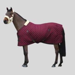 KENTUCKY Presentation blanket 160gr