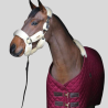 KENTUCKY Presentation blanket 160gr