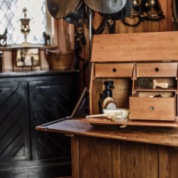 KENTUCKY Pansenbox Show Braun