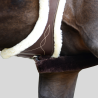 KENTUCKY sangle anatomique sheepskin