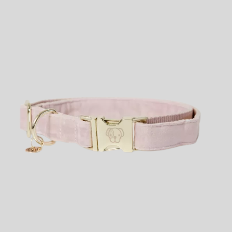 KENTUCKY Dog Collar Velvet - Kentucky - Foolfashion.ch