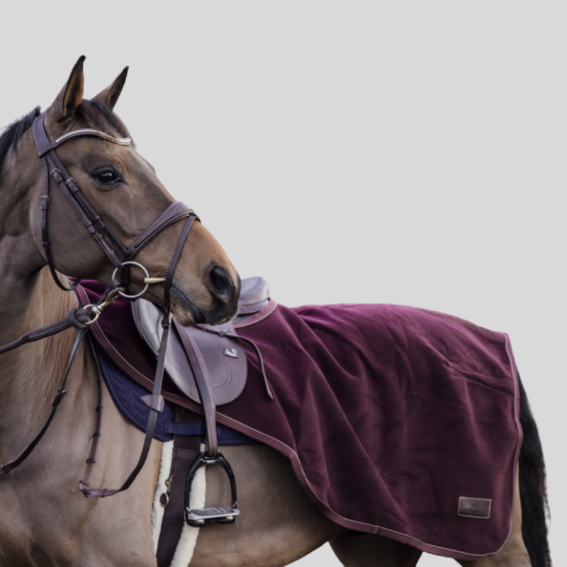 KENTUCKY Couvre-Reins Heavy Fleece