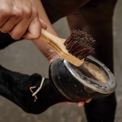 KENTUCKY Foot treatment