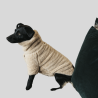 KENTUCKY Hundepullover Teddy Fleece